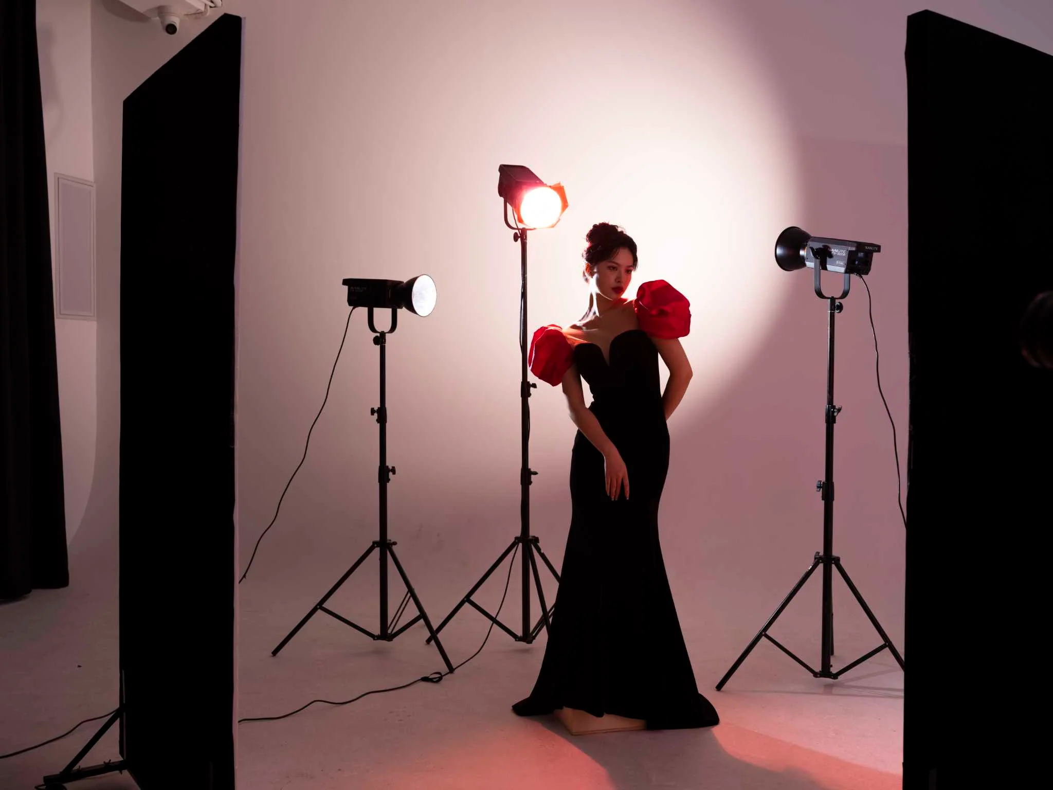 FS-300B AC-Powered Bi-Color LED Monolight - Image 12